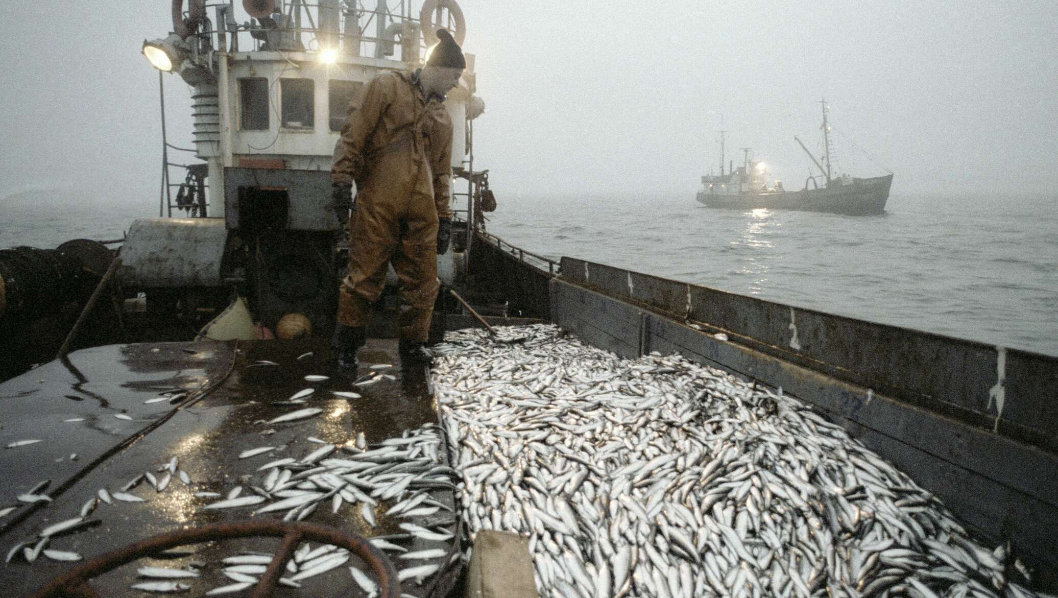 Ловля рыбы в баренцевом море британия