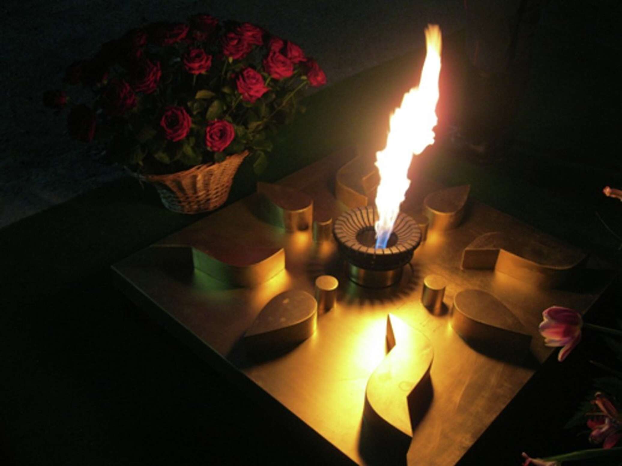 Свеча памяти по погибшим в ВОВ девушки. Пикник вечер памяти жертв
