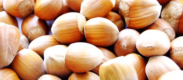 Фундук. - Sputnik Абхазия