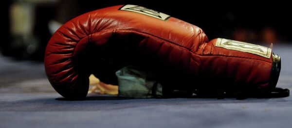 Боксерская перчатка. Архивное фото. - Sputnik Абхазия