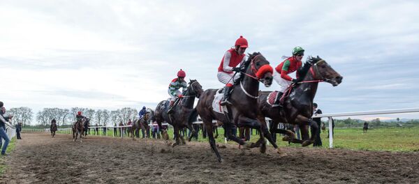 Скачки в селе Дурипш. - Sputnik Аҧсны