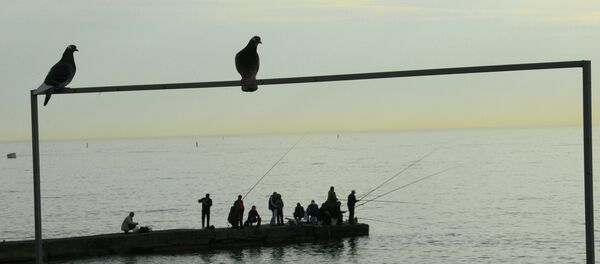 Рыбаки ловят рыбу. Архивное фото. Рыбаки ловят рыбу. Архивное фото. - Sputnik Абхазия