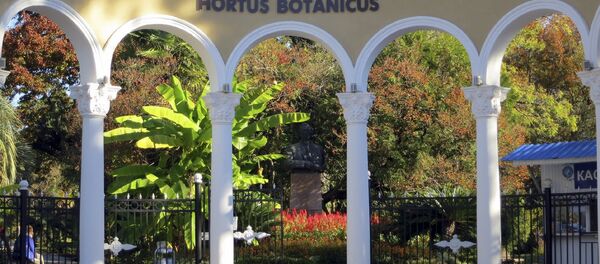 Ботанический сад Ботанический сад - Sputnik Абхазия