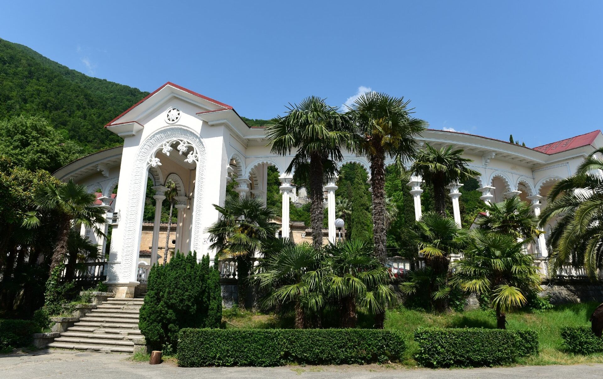 Дендропарк в Гаграх Абхазия