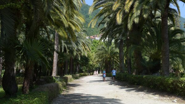 Приморский парк в Гагре - Sputnik Абхазия