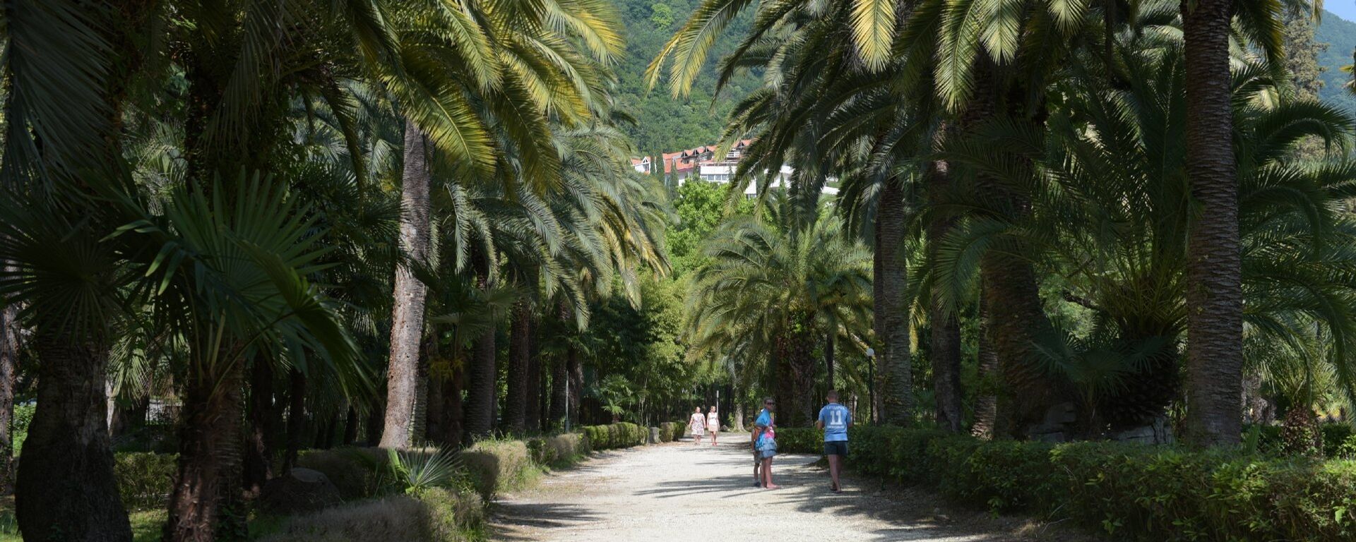 Приморский парк в Гагре - Sputnik Абхазия, 1920, 24.11.2025