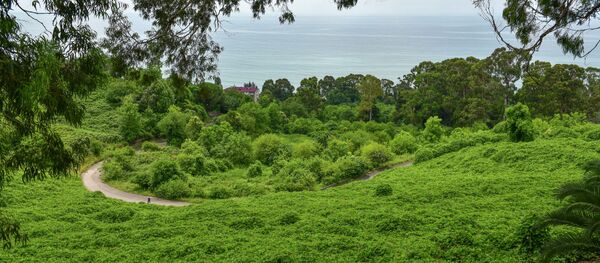 Архивтә фото Архивтә фото - Sputnik Аҧсны