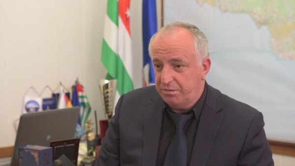 Глава МЧС Квициния: вначале любого пути бывает всегда сложно - Sputnik Абхазия