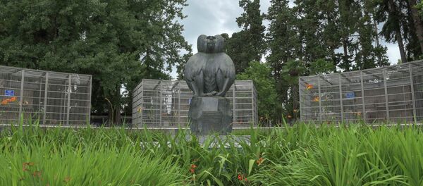 НИИЭПиТ. НИИЭПиТ. - Sputnik Абхазия