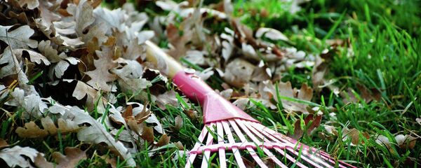 Больше полутора тысячи разрешений на работу выдано мигрантам в Абхазии - Sputnik Абхазия