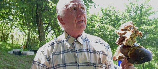 Праздник Ацуныҳәа провели в селе Ачандара Праздник Ацуныҳәа провели в селе Ачандара - Sputnik Абхазия