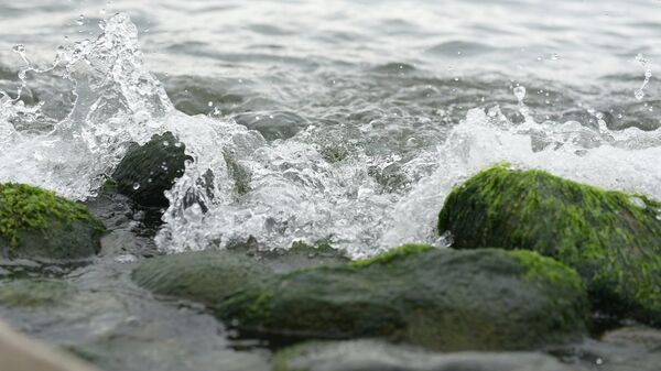 Море - Sputnik Абхазия