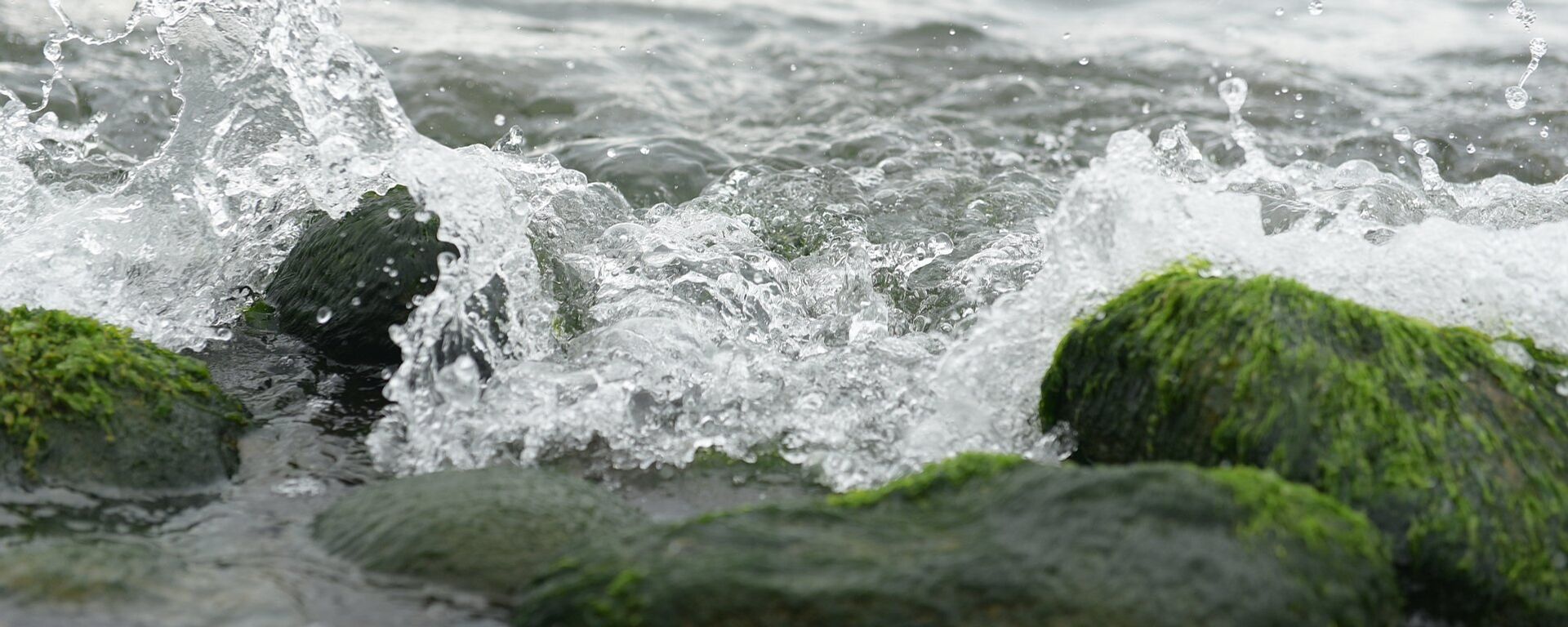 Море - Sputnik Абхазия, 1920, 09.12.2025