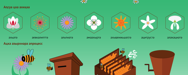 Ацха - зегь реиҳа ихаау ахәшә - Sputnik Аҧсны