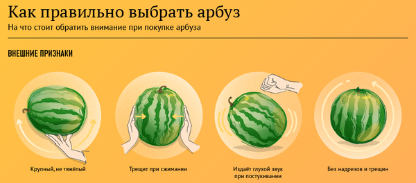 Как правильно выбрать арбуз - Sputnik Абхазия
