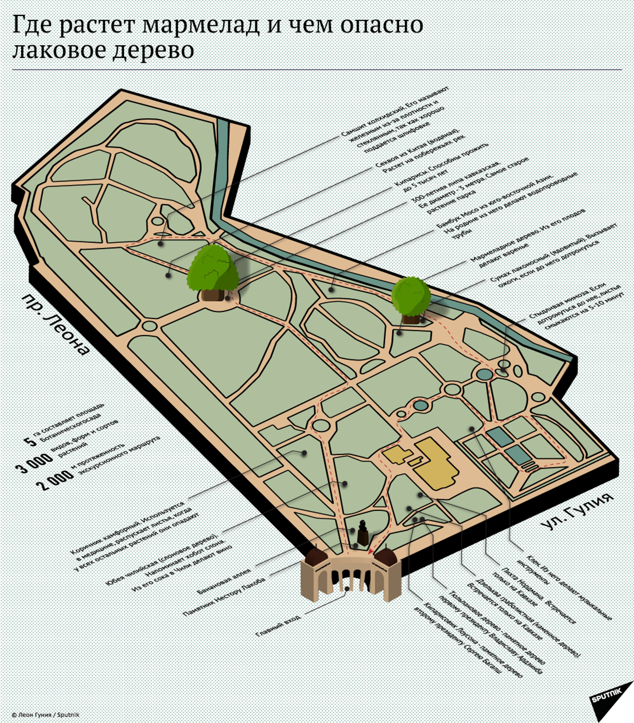 Карта ботанического сада спб