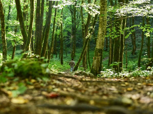 c.Аацы c.Аацы - Sputnik Аҧсны