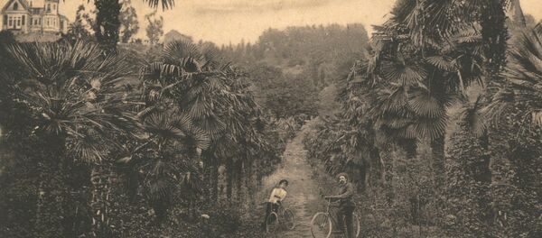 Парк Смецкого. Парк Смецкого. - Sputnik Абхазия