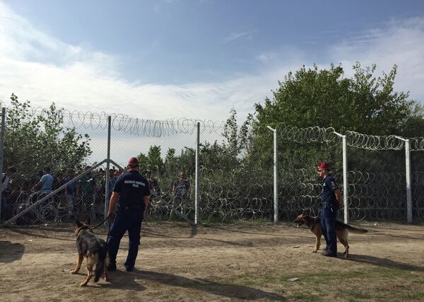 Ситуация на венгерско-сербской границе - Sputnik Абхазия