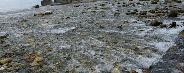 Река Репруа. Река Репруа. - Sputnik Абхазия