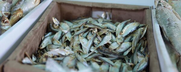 Рыба - Sputnik Абхазия