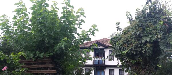 Ҭырқәтәыла иҟоу аԥсуаа рқыҭа Џьгьарда (Соуқсу), аԥсуа иҩны Ҭырқәтәыла иҟоу аԥсуаа рқыҭа Џьгьарда (Соуқсу), аԥсуа иҩны - Sputnik Аҧсны