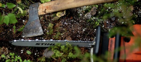 Архивное фото инструментов для обрезки деревьев Архивное фото инструментов для обрезки деревьев - Sputnik Абхазия