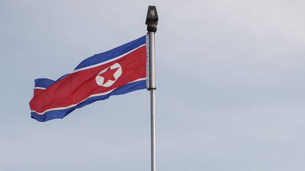 Флаг Корейской Народно-Демократической Республики (КНДР). - Sputnik Абхазия
