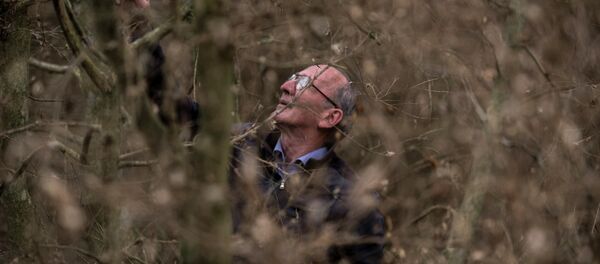 Лесничий. - Sputnik Абхазия