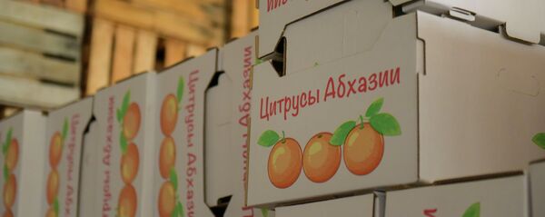 Аԥснытәи ацитрусқәа. - Sputnik Аҧсны