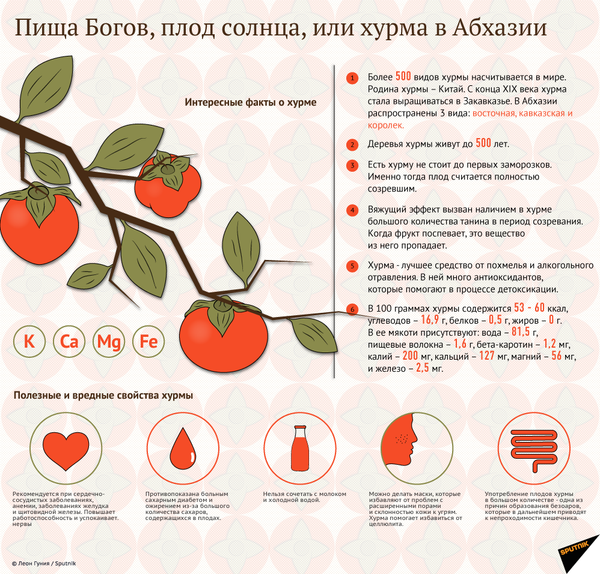 Пища Богов, плод солнца, или хурма в Абхазии - Sputnik Абхазия