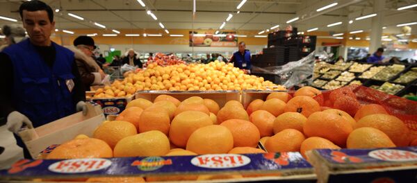 Россия вводит запрет на ввоз в Россию товаров из Турции Россия вводит запрет на ввоз в Россию товаров из Турции - Sputnik Абхазия