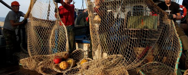 Рыболовная компания Доброфлот в Приморском крае - Sputnik Абхазия