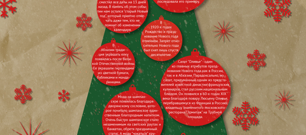 История празднования Нового года - Sputnik Абхазия