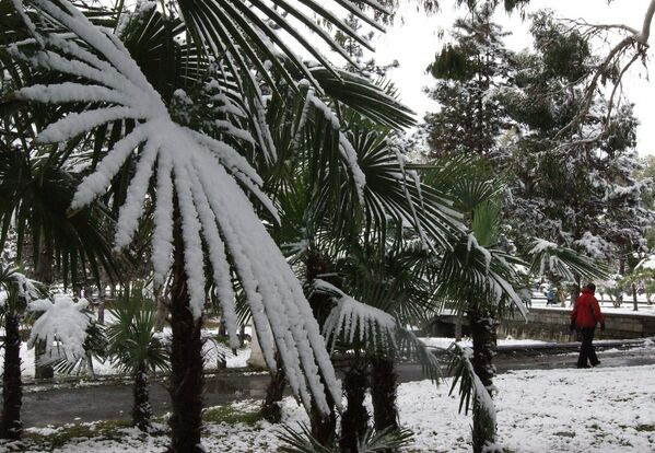 Снег в Сухуме - Sputnik Абхазия