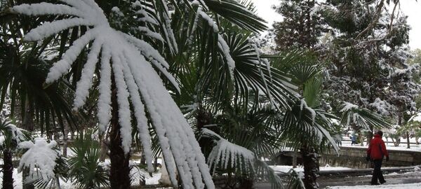 Снег в Сухуме - Sputnik Абхазия