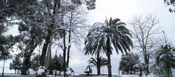 Снег в Сухуме Снег в Сухуме - Sputnik Абхазия