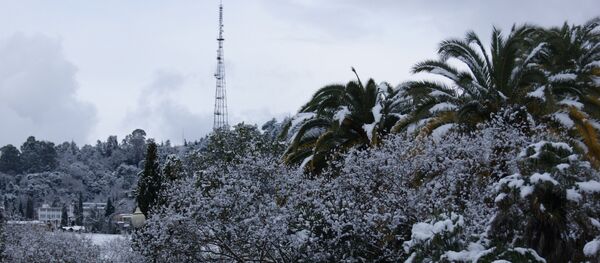 Аҟәа илеиз асы - Sputnik Аҧсны