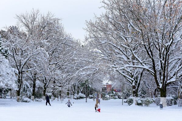 Снег в Сухуме. - Sputnik Абхазия