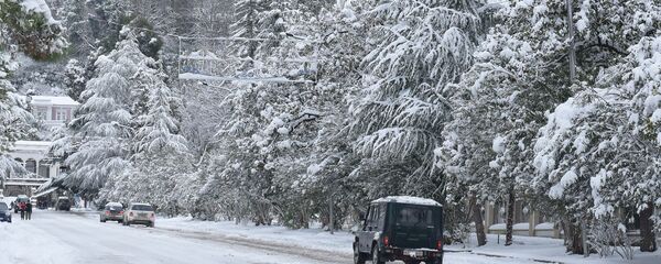 Гололед на дороге. Гололед на дороге. - Sputnik Абхазия