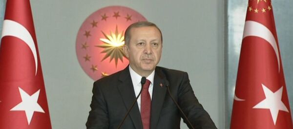 Эрдоган рассказал, кто устроил взрыв в центре Стамбула - Sputnik Абхазия