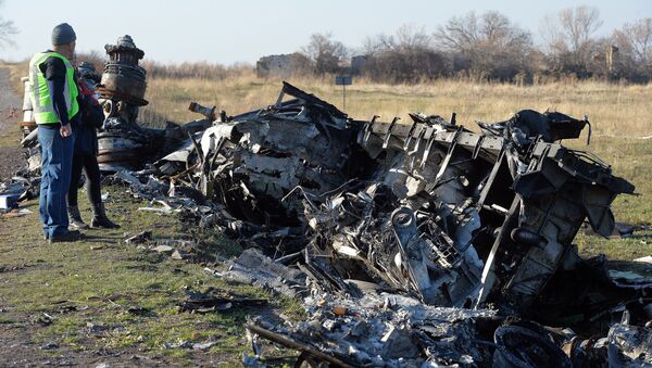 Росавиация: фрагменты ракеты опровергают версию Нидерландов по MH17 - Sputnik Абхазия