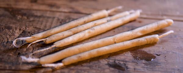 Ацәа цқьа иалху ацәашьы - Sputnik Аҧсны