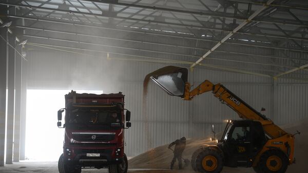 Открытие нового животноводческого комплекса в Новосибирской области - Sputnik Абхазия