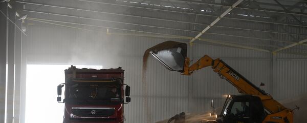 Открытие нового животноводческого комплекса в Новосибирской области Открытие нового животноводческого комплекса в Новосибирской области - Sputnik Абхазия