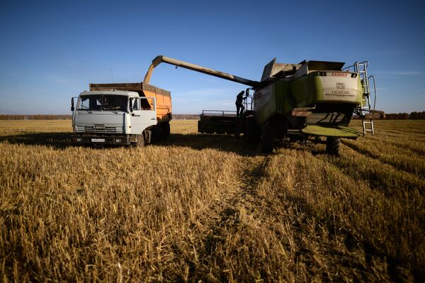 Уборка урожая зерновых в Новосибирской области - Sputnik Абхазия