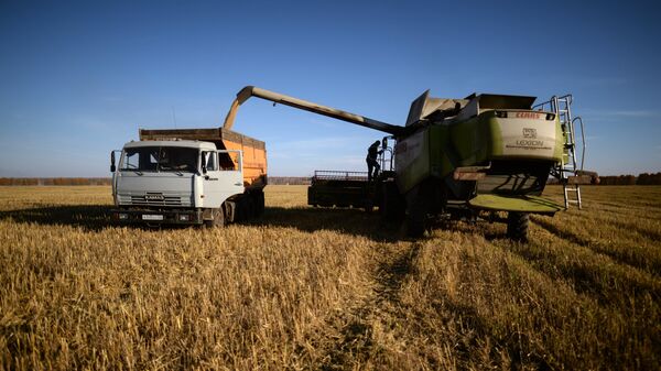 Уборка урожая зерновых в Новосибирской области - Sputnik Абхазия
