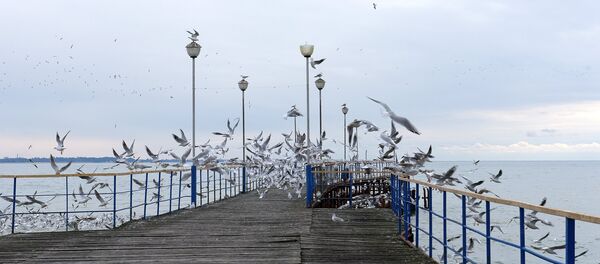 Прогноз. Прогноз. - Sputnik Абхазия