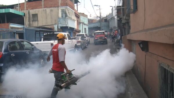 Окуривание дымом домов в Каракасе из-за вируса Зика и комментарий эксперта ВОЗ - Sputnik Абхазия
