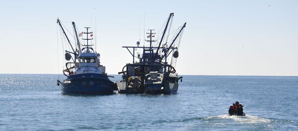 Рейд в акватории Абхазии. Рейд в акватории Абхазии. - Sputnik Абхазия